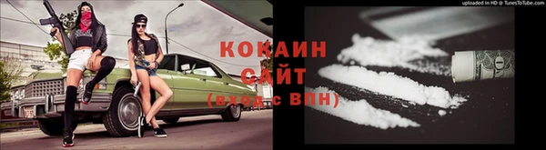соль ск Алексеевка