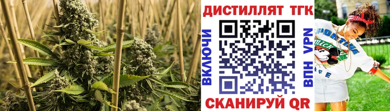 Купить  Вытегра  Дистиллят ТГК жижа 