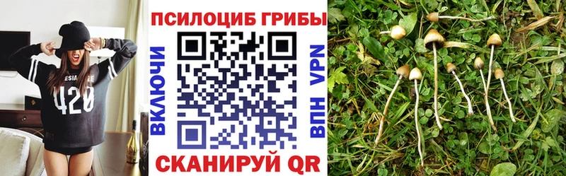 Купить Вытегра Галлюциногенные грибы ЛСД